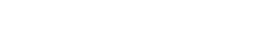 Datamóvil Autos — Financiera